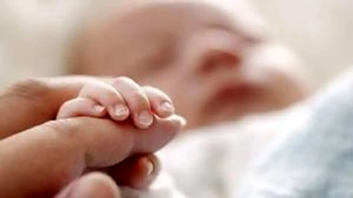 ارائه ۱۱ مرحله سبد غذایی رایگان در طرح یسنا