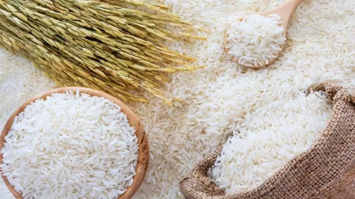 قیمت برنج در ماه رمضان تغییر نمی کند