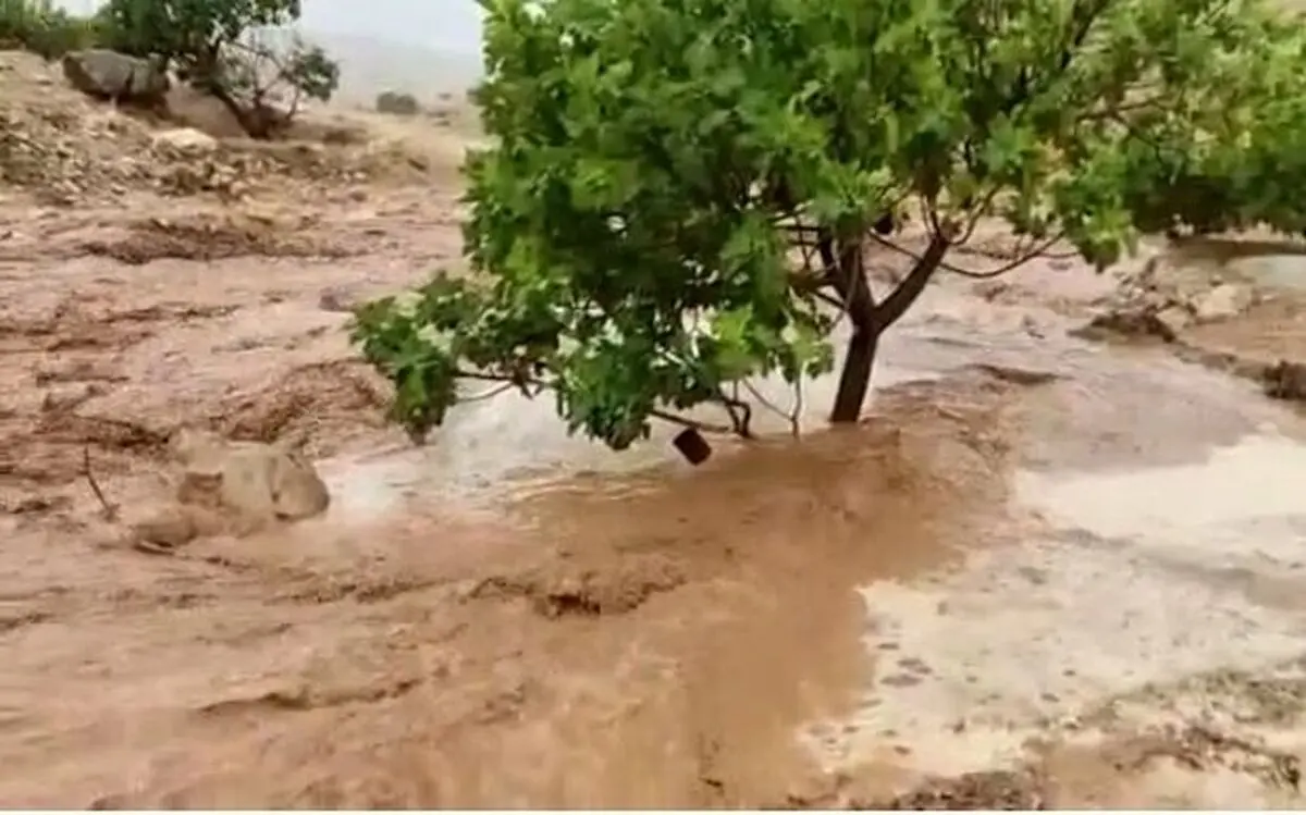 کشف دومین پیکر جانباخته سیل ایوانکی