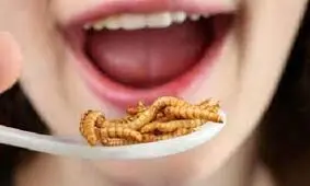 حشرات، غذای انسان ها در آینده‌اند؟