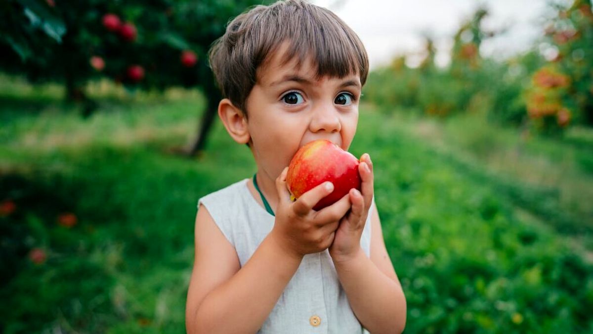 ۶ خوراکی خانگی برای تیزبین و متمرکز شدن کودکان مدرسهای / این خوراکی محلیاش بهتر است