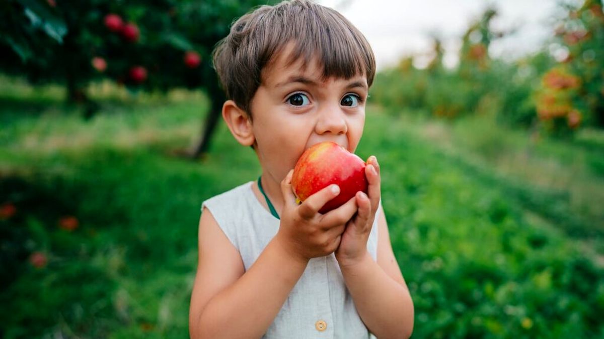 ۶ خوراکی خانگی برای تیزبین و متمرکز شدن کودکان مدرسه‌ای / این خوراکی محلی‌اش بهتر است