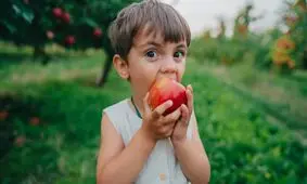۶ خوراکی خانگی برای تیزبین و متمرکز شدن کودکان مدرسه‌ای / این خوراکی محلی‌اش بهتر است