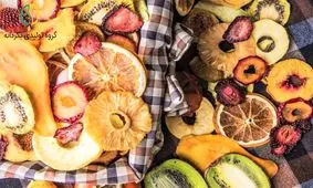 کسب درآمد از دستگاه میوه خشک کن صنعتی