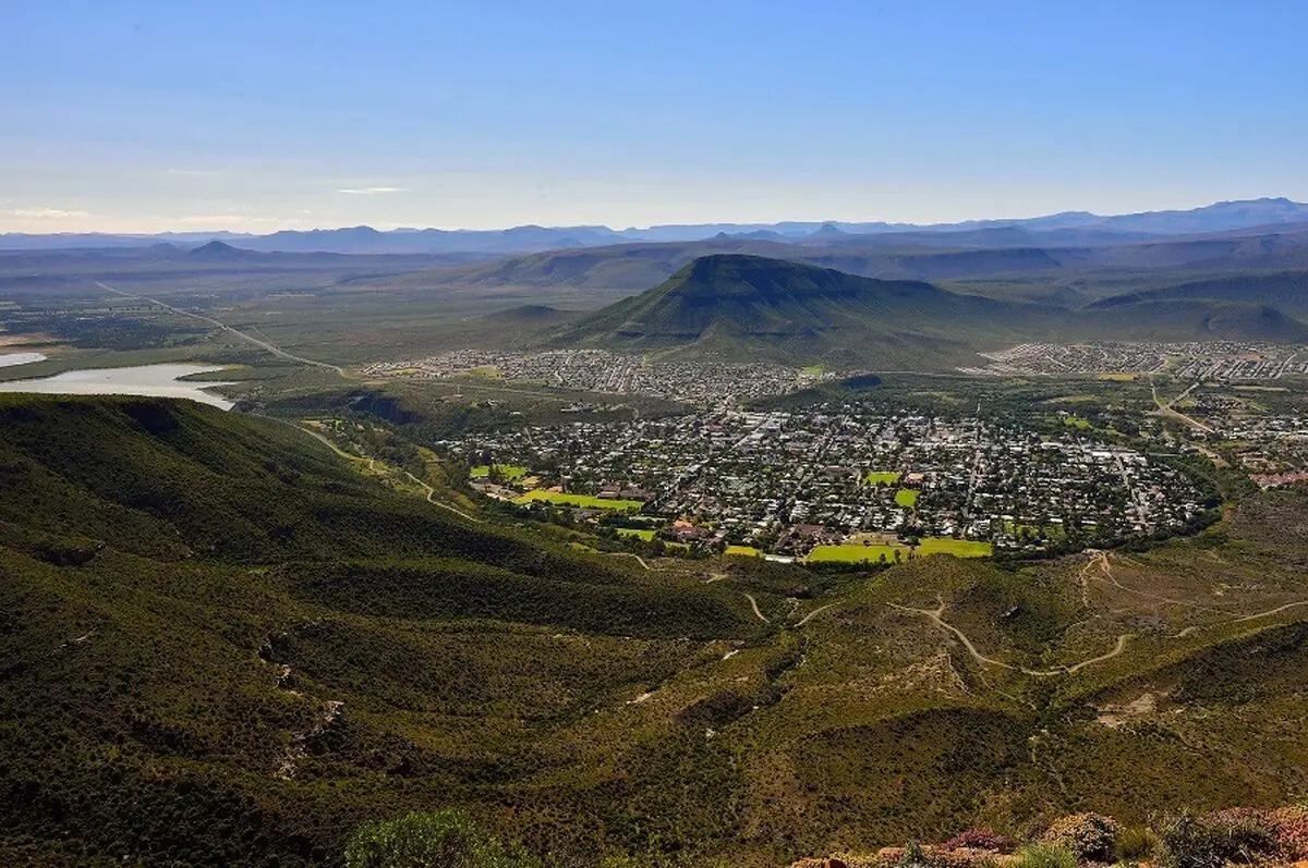 شاخ ۵۰۰ سالۀ گاو که راز دارو‌های باستانی آفریقا را فاش کرد