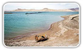 کشف محل دفن اعضای مافیا