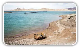 کشف محل دفن اعضای مافیا