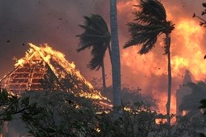 چطور آتش‌سوزی هاوایی مرگبارترین حریق قرن اخیر آمریکا شد؟
