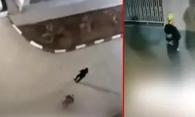 حمله داماد پرحاشیه واوان را به هم ریخت/ ویدئو

