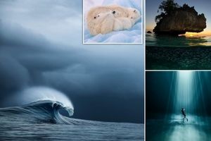 عکس های بی نظیر برندگان رقابت عکس سال اقیانوس ۲۰۲۲ منتشر شد 