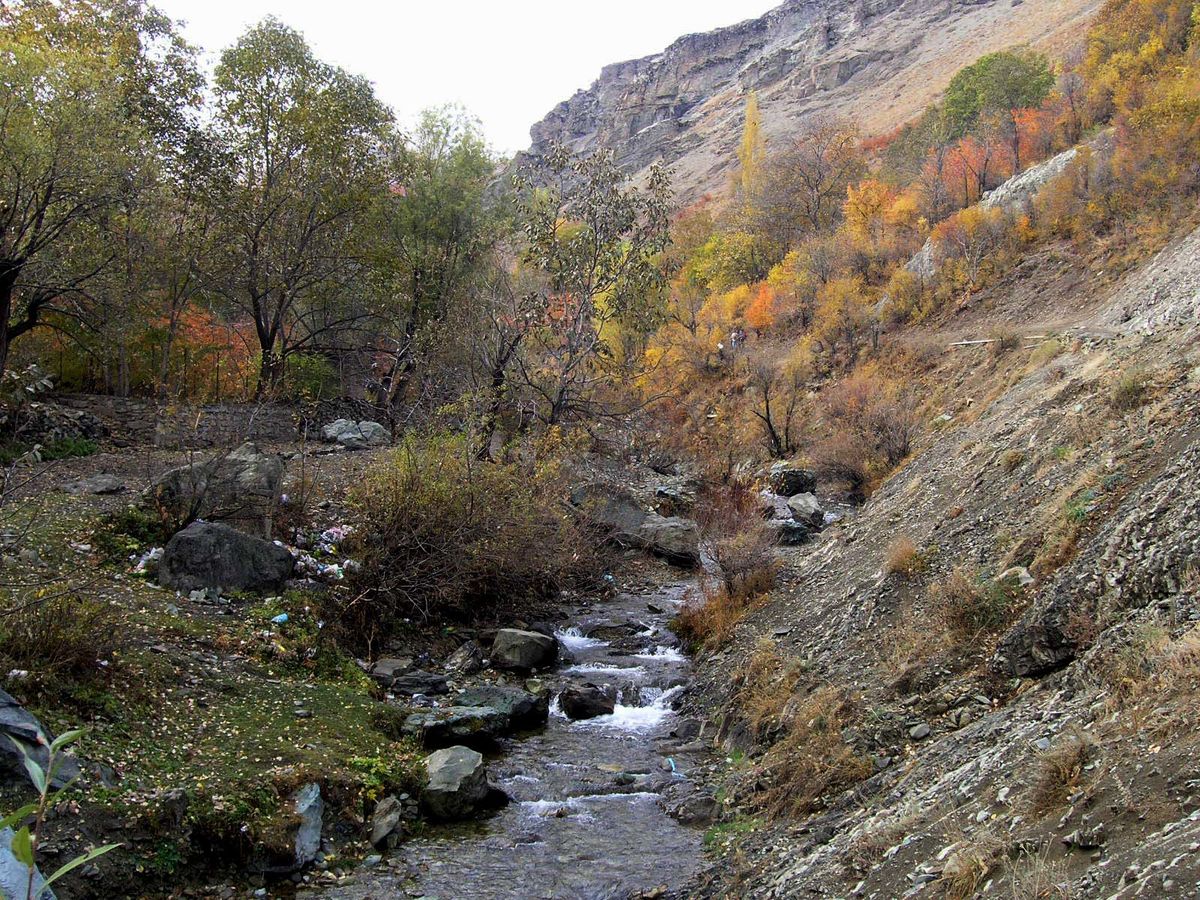 پاییز رنگارنگ بدون فیلتر / این روستای زیبا در نزدیکی تهران است/ ویدئو 