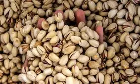  ۲۳۷ درصد کاهش ارزش صادرات پسته نسبت به پارسال/ بزرگترین خریداران پسته ایران، روسیه و امارات هستند