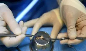 جراح مشهدی فعلا اجازه هیچ‌گونه عمل جراحی را ندارد 