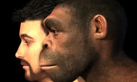 انسان‌های نخستین به دست ما منقرض شدند؟