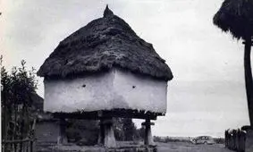 چای‌کاری در لاهیجان ۹۰ سال پیش/ عکس تاریخی