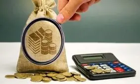 مالیات‌های بعضا عجیب برای پر کردن کمبودهای مالی دولت/ مالیات پول زور و مرتبط با اراده قدرت نیست بلکه نوعی خرید و فروش است

