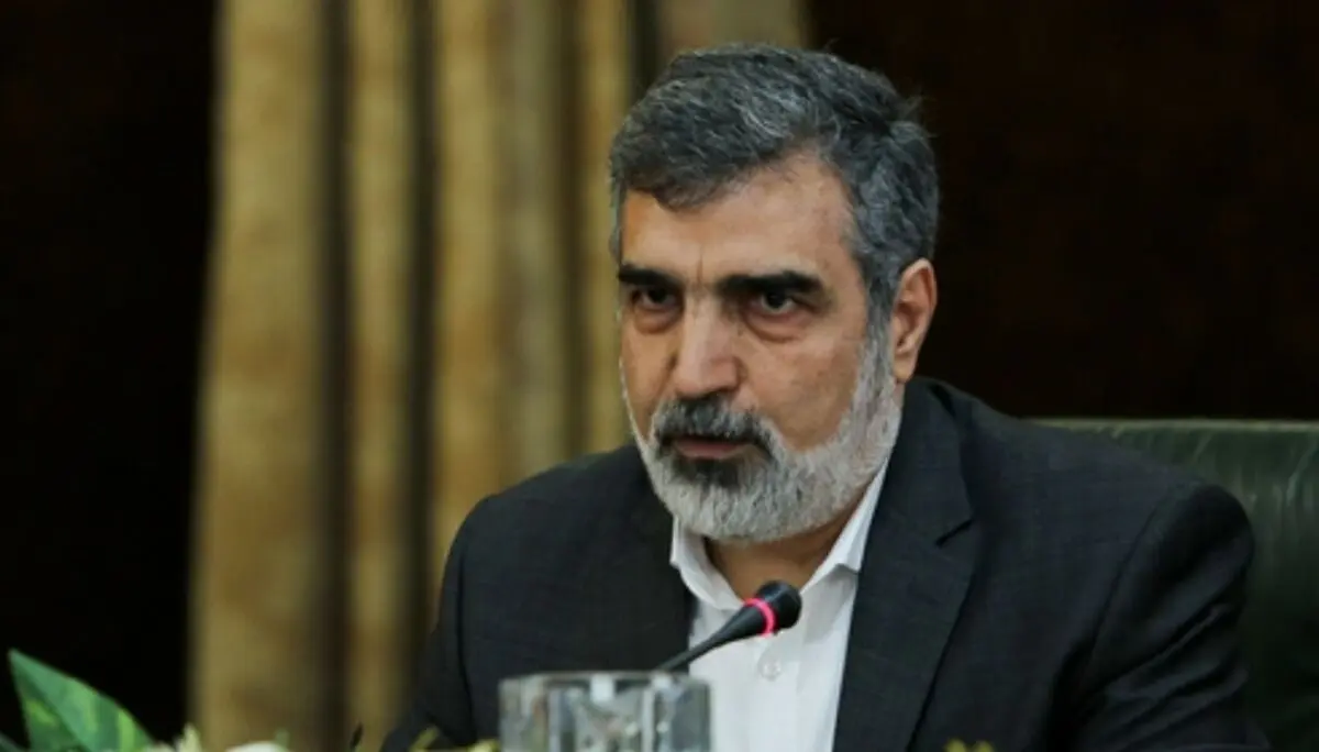سخنگوی سازمان انرژی: غنی‌سازی ایران به طور رسمی به ۶۰ درصد رسیده است
