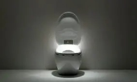 چرا اکثر توالت ها سفید هستند؟