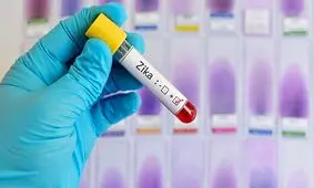 هشدار محققان، ویروس زیکا تنها یک جهش با جرقه شیوع گسترده‌تر فاصله دارد 