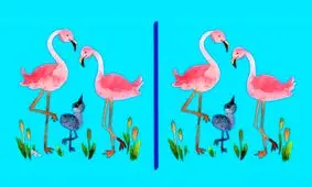 تست بینایی/ آیا می‌توانید ۳ تفاوت تصویر فلامینگوها را پیدا کنید؟