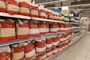قیمت برنج ایرانی/ هاشمی درجه یک کیلویی چند؟
