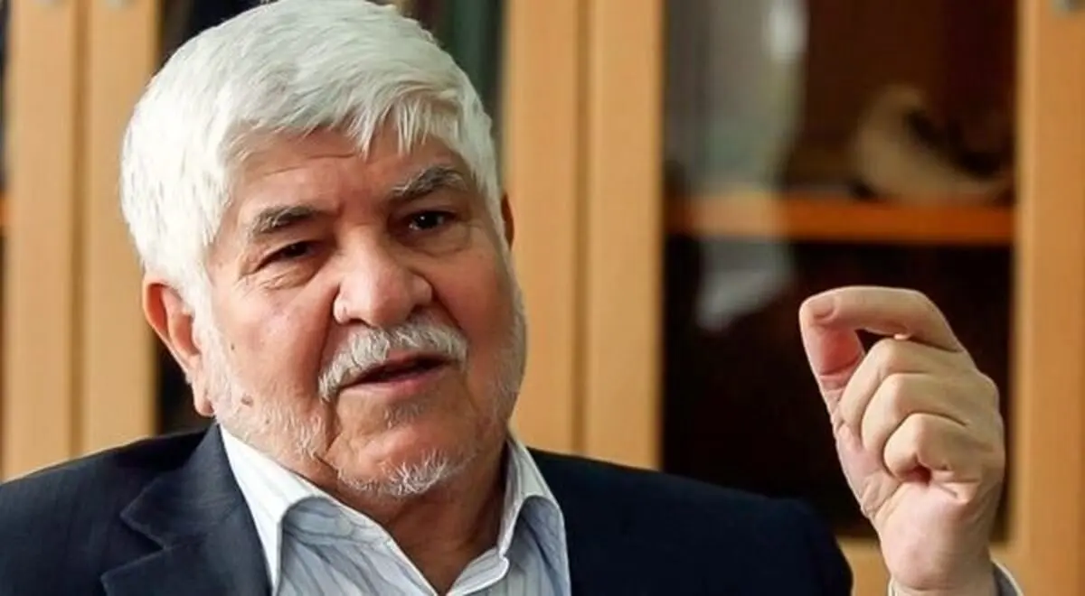 محمد هاشمی: برخی برای مطرح کردن خودشان با دولت مخالفت می‌کنند
