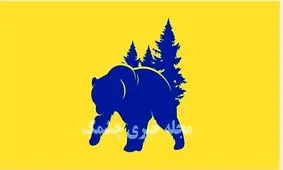 اولین تصویری که دیدید چه بود؟