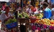 اصلاح رژیم غذایی علاوه بر کاهش آلاینده ها جان میلیون ها انسان را نجات می‌دهد