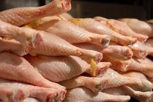 قیمت مرغ یارانه‌ای ایران به نرخ برخی کشورهای همسایه رسید

