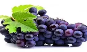 تصاویر دیدنی شهر جهانی انگور که در ایران است