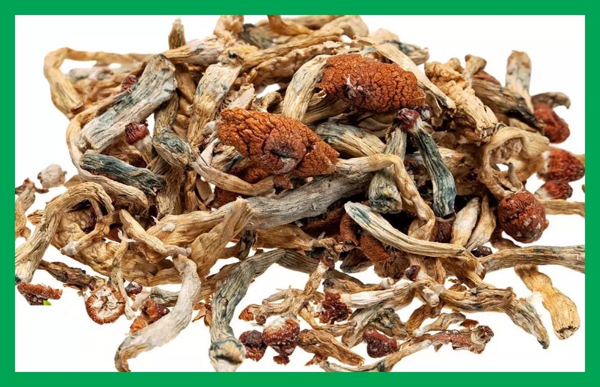 مخدر مجیک ماشروم (سیلوسایبین) چیست؟/ عوارض، علائم، اعتیاد و درمان آن
