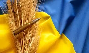 ترکیه، غلاتی که روسیه از اوکراین به یغما برده را می‌خرد

