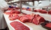 واردات گوشت آفریقایی و تانزانیایی به ایران