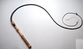 شلاق به عنوان مجازات تغزیری در جامعه امروز کار درستی نیست/ سرشار از خشونت است، ایجاد انزجار می‌کند