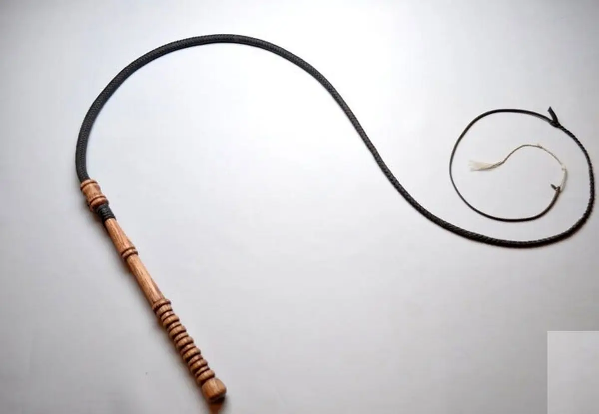 شلاق به عنوان مجازات تغزیری در جامعه امروز کار درستی نیست/ سرشار از خشونت است، ایجاد انزجار می‌کند