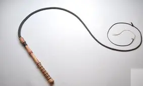 شلاق به عنوان مجازات تغزیری در جامعه امروز کار درستی نیست/ سرشار از خشونت است، ایجاد انزجار می‌کند