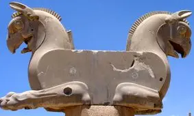 لحظه تاریخی کشف و بیرون کشیدن «همای پارسی» 