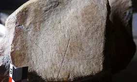نئاندرتال‌ها به صورت گروهی فیل شکار می‌کردند