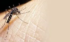 ویروسی جدید در راه است؟