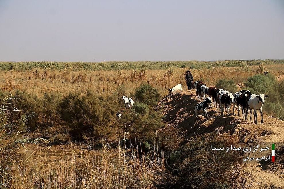 پیام خوزستان