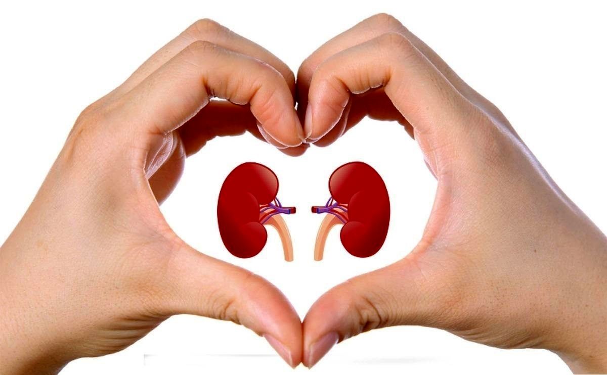 چرا کلیه ها سنگ ساز میشوند؟