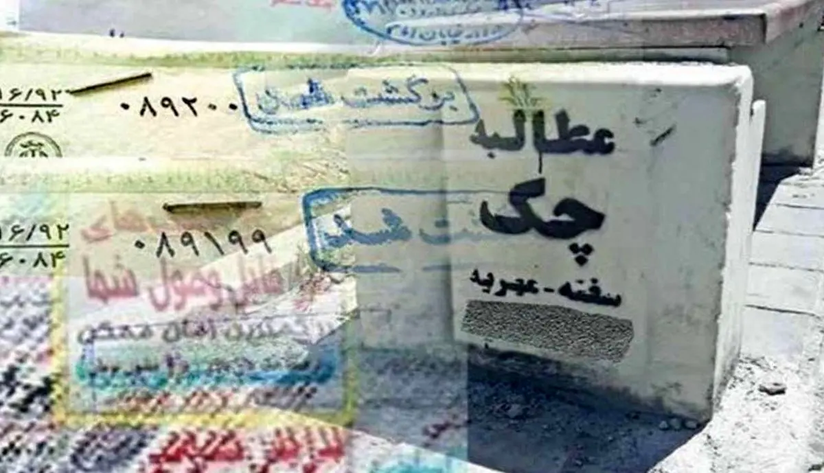 چند میگیری پولش کنی؟ / ماجرای عجیب شَرخرها در فضای مجازی
