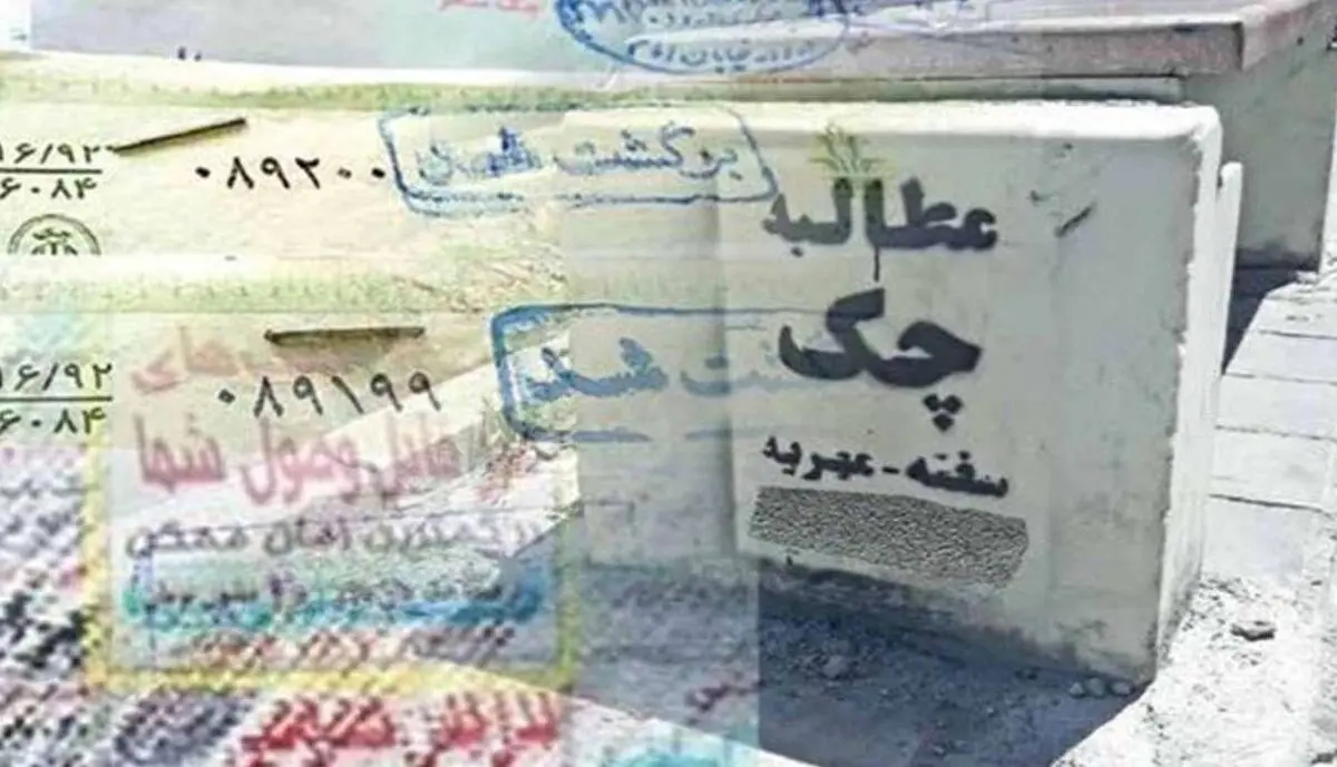 چند میگیری پولش کنی؟ / ماجرای عجیب شَرخرها در فضای مجازی
