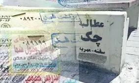 چند میگیری پولش کنی؟ / ماجرای عجیب شَرخرها در فضای مجازی
