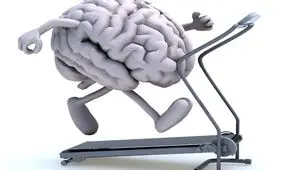 سه نکته نغز، برای سلامت مغز