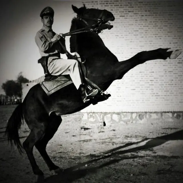 photo_2025-11-17_23-48-49