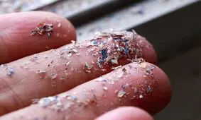 ریزپلاستیک ها در پروتئین ها هم وجود دارند