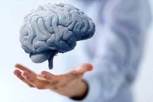 بهترین میوه ها برای بهبود ضریب هوشی