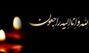 درگذشت بانوی خبرنگار شبستری