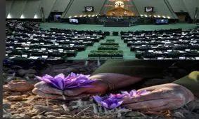 حکم حکومتی، تنها راه درمان "درد" زعفران ایران / آقای رییس جمهور، نگذارید مافیا زعفران ایران را نیست و نابود کند